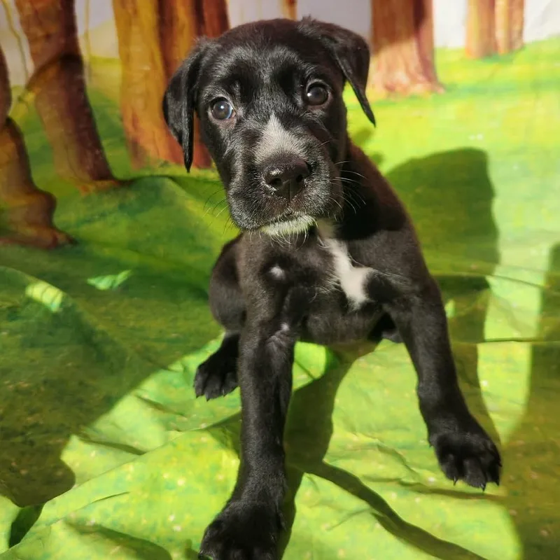 Greta Jb thumbnail 2