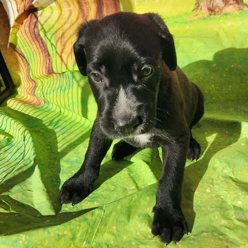 Greta Jb thumbnail 5