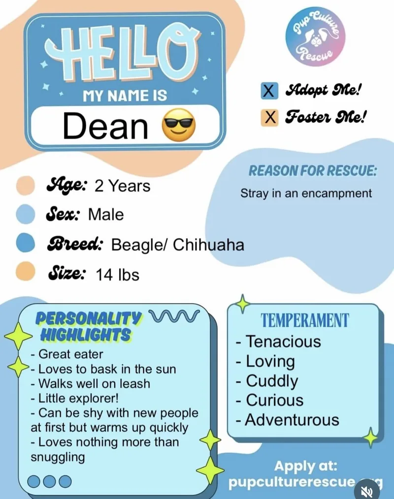 Dean thumbnail 3
