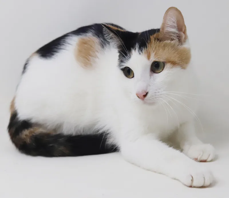 Norma is nothing but thumbnail 2
