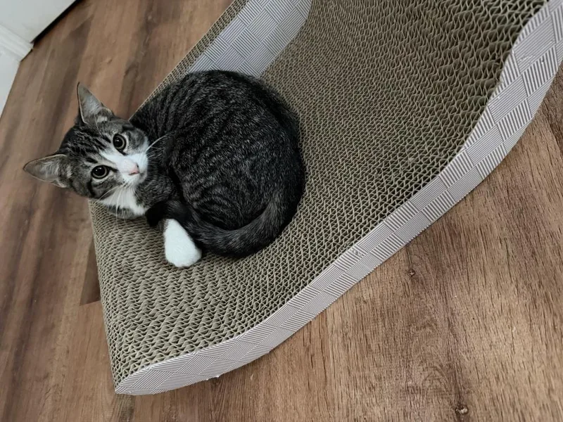 Bubbles  Tr thumbnail 5