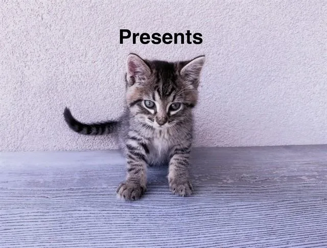 Presents