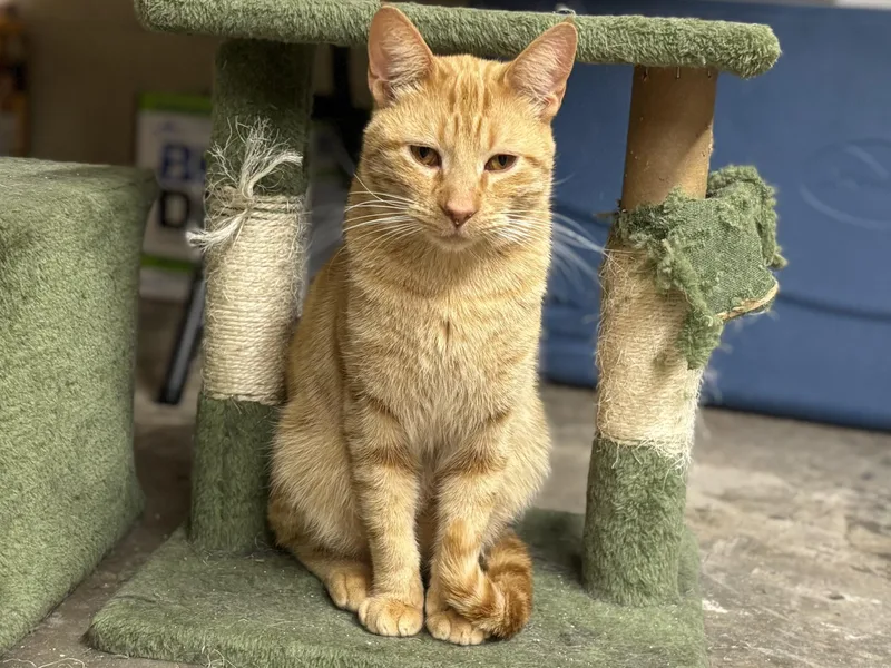 Kevin Bacon thumbnail 2