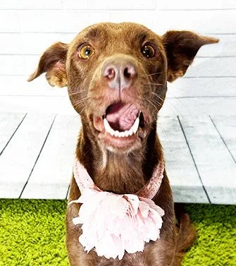 Christmas thumbnail 3