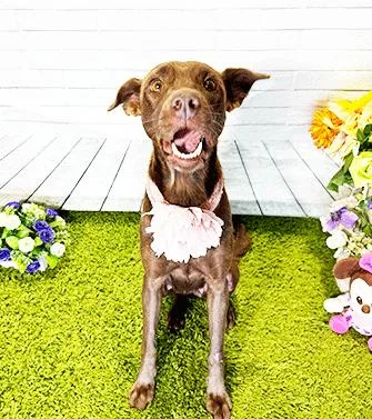 Christmas thumbnail 4