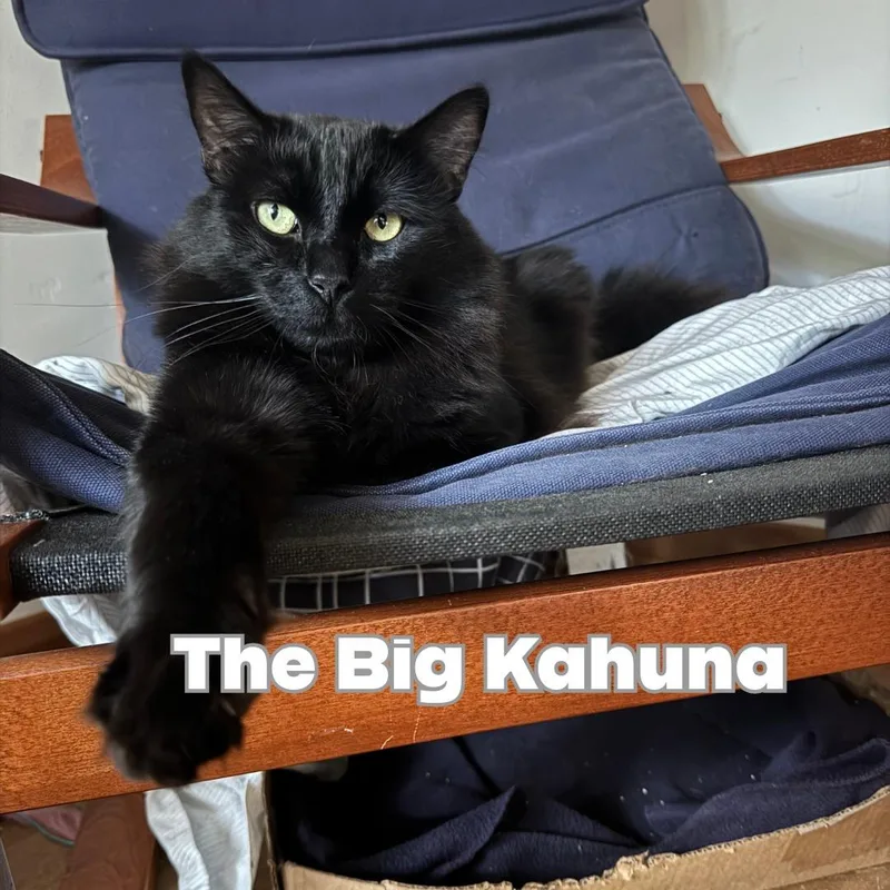 The Big Kahuna thumbnail 3