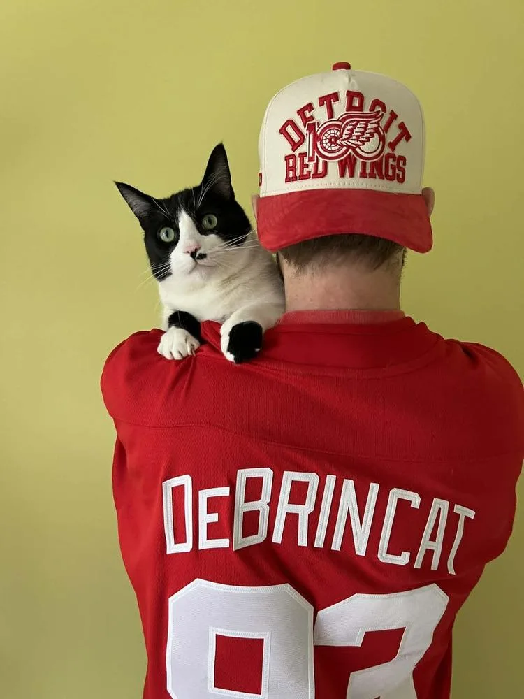 Debrincat thumbnail 5