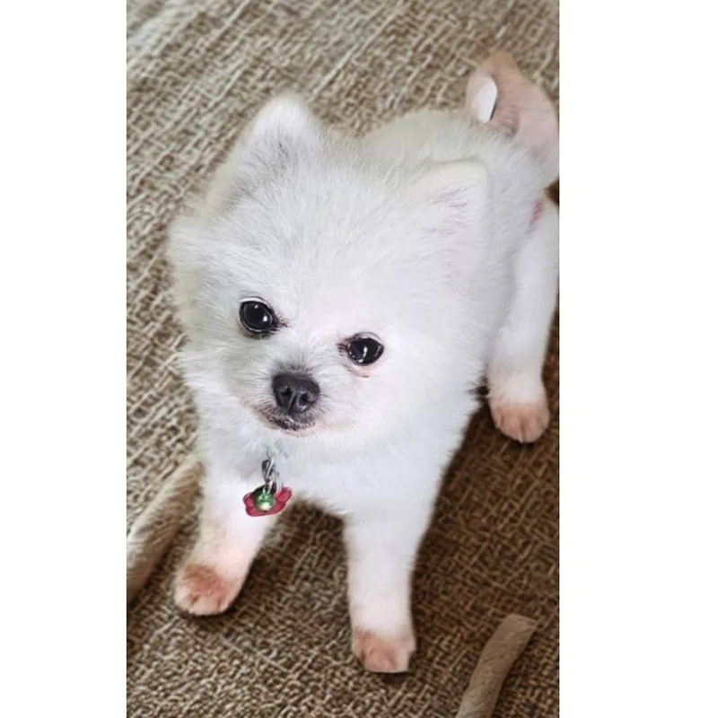 Stormy . thumbnail 2