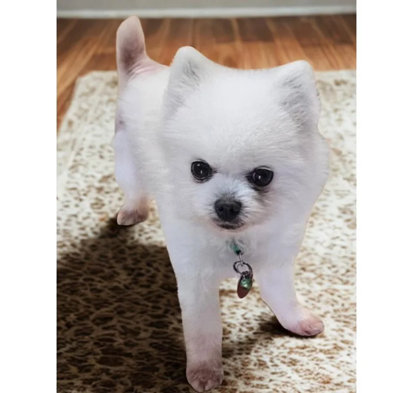 Stormy . thumbnail 4