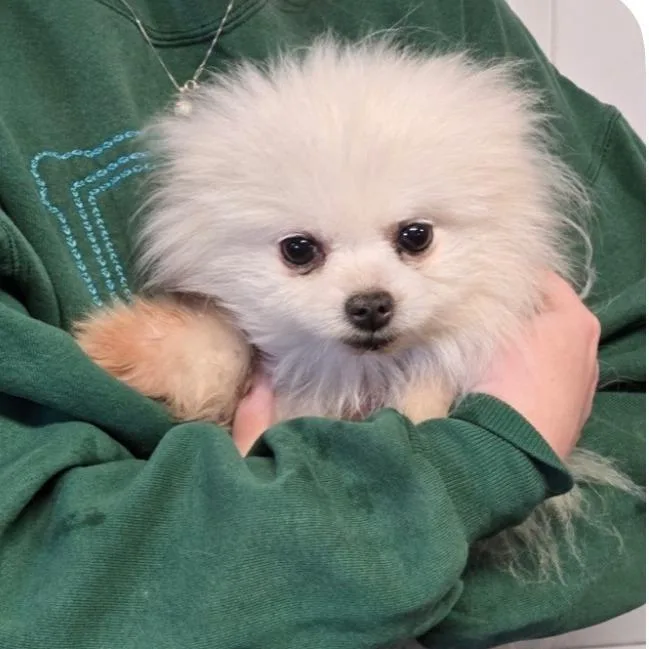 Stormy . thumbnail 5