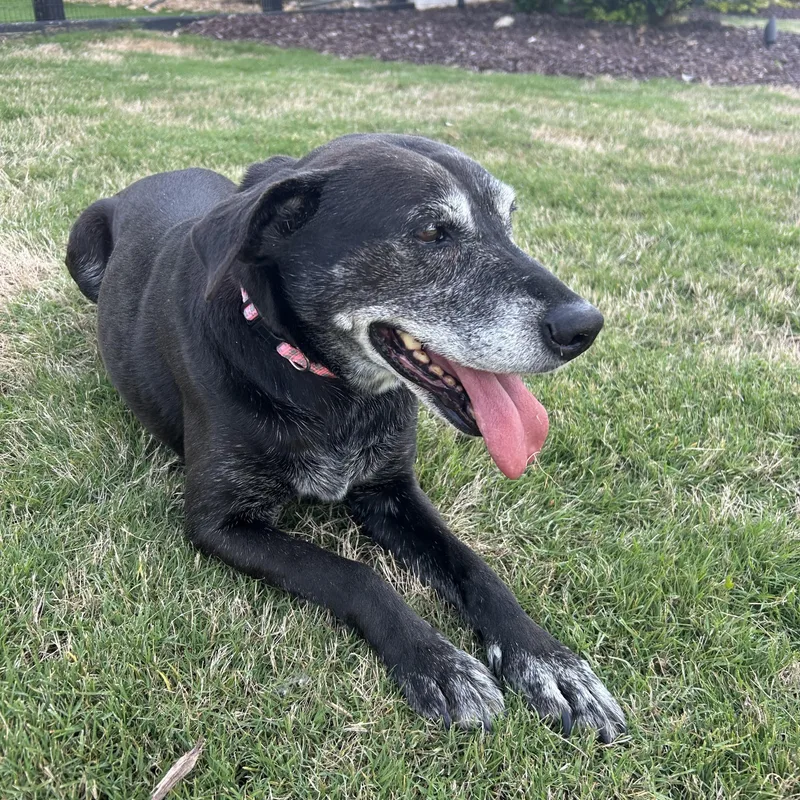 Stella Mae thumbnail 2