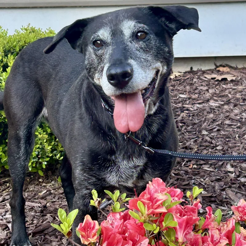 Stella Mae thumbnail 3