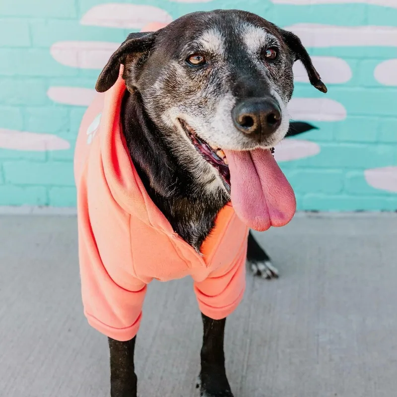 Stella Mae thumbnail 4