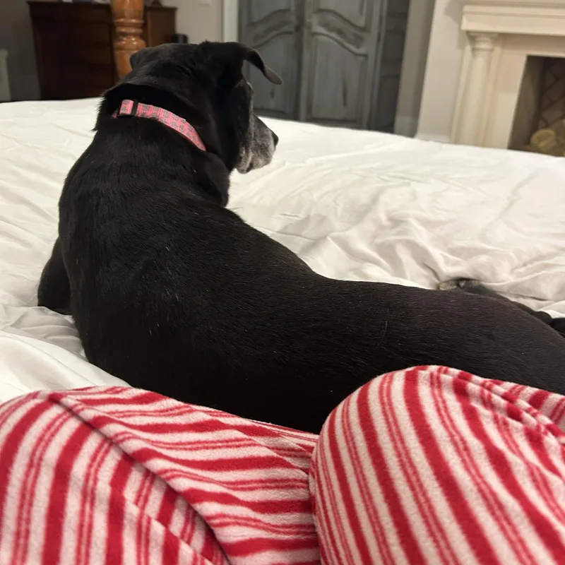 Stella Mae thumbnail 5