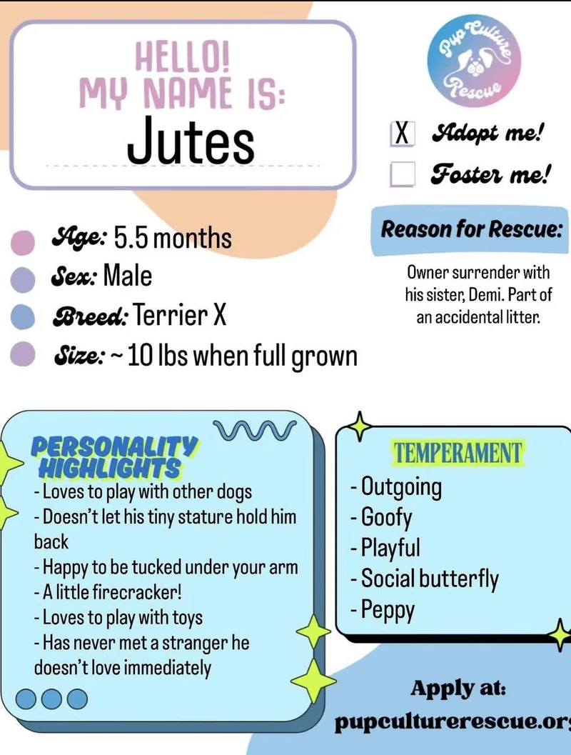 Jutes thumbnail 4