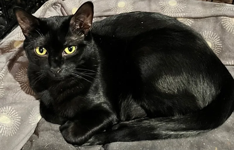 Magnus And Flower thumbnail 2