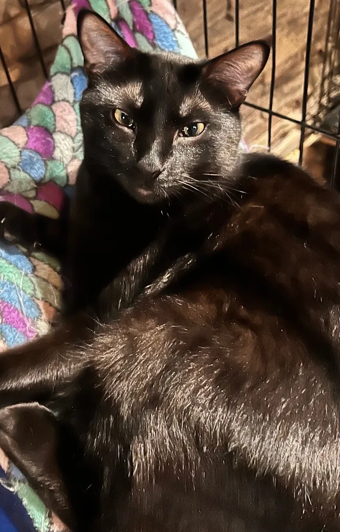 Magnus And Flower thumbnail 3