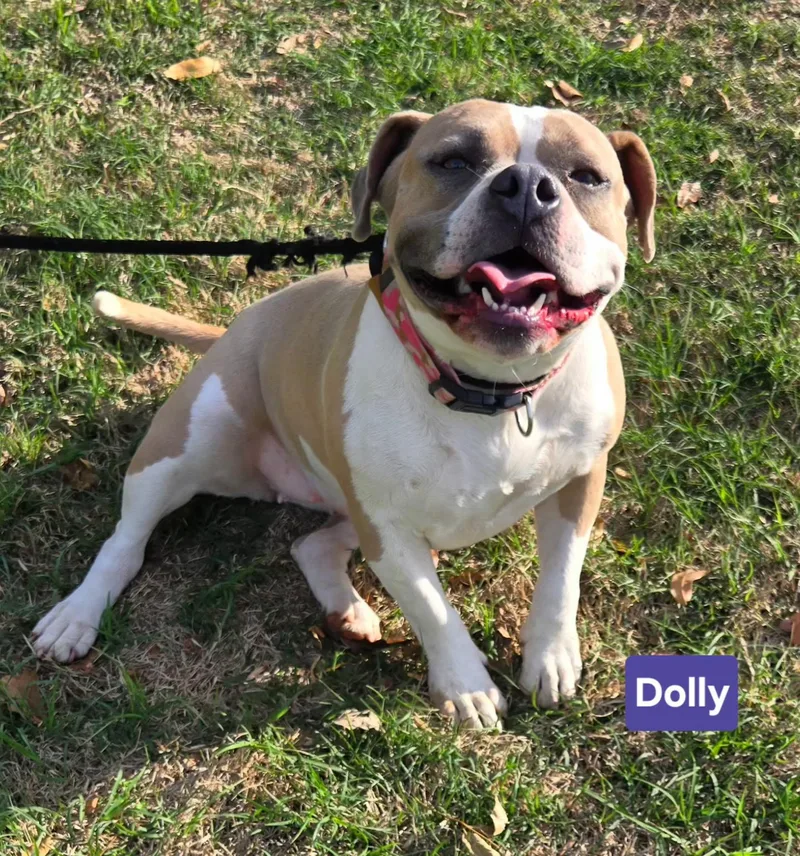 Dolly P thumbnail 2
