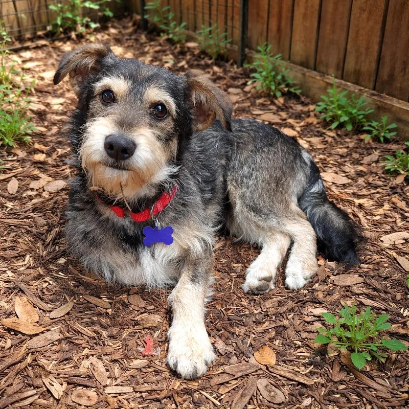 Snuggles thumbnail 2