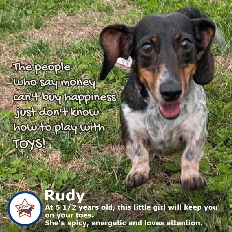 Rudy In Ga thumbnail 2