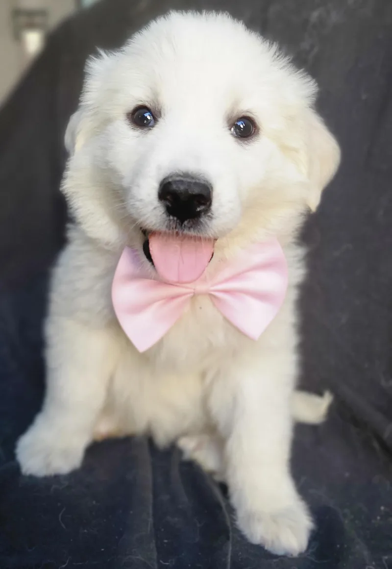 Winnie