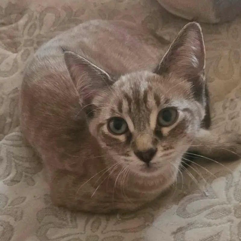 Leo