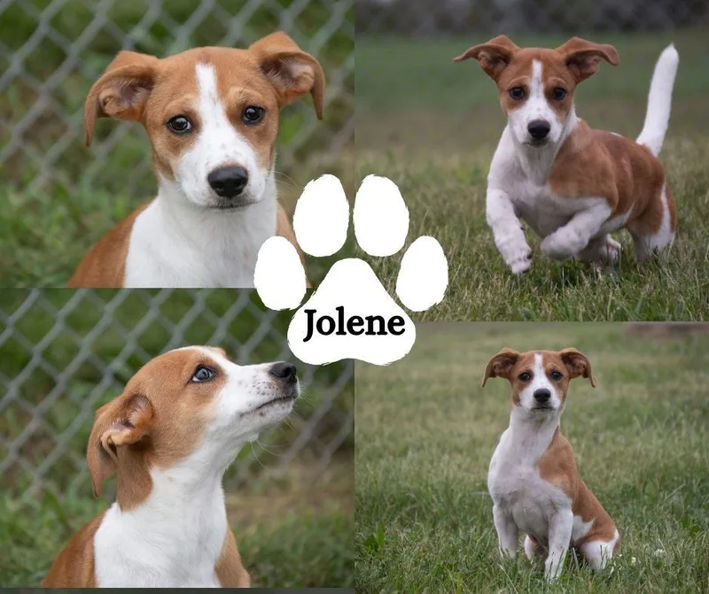 Jolene thumbnail 2