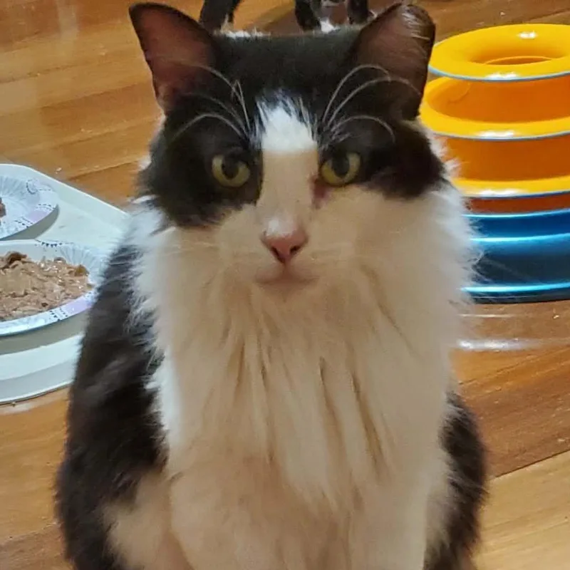 Minnie