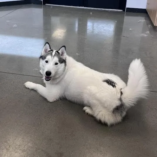 Ronin Fka Odin thumbnail 2