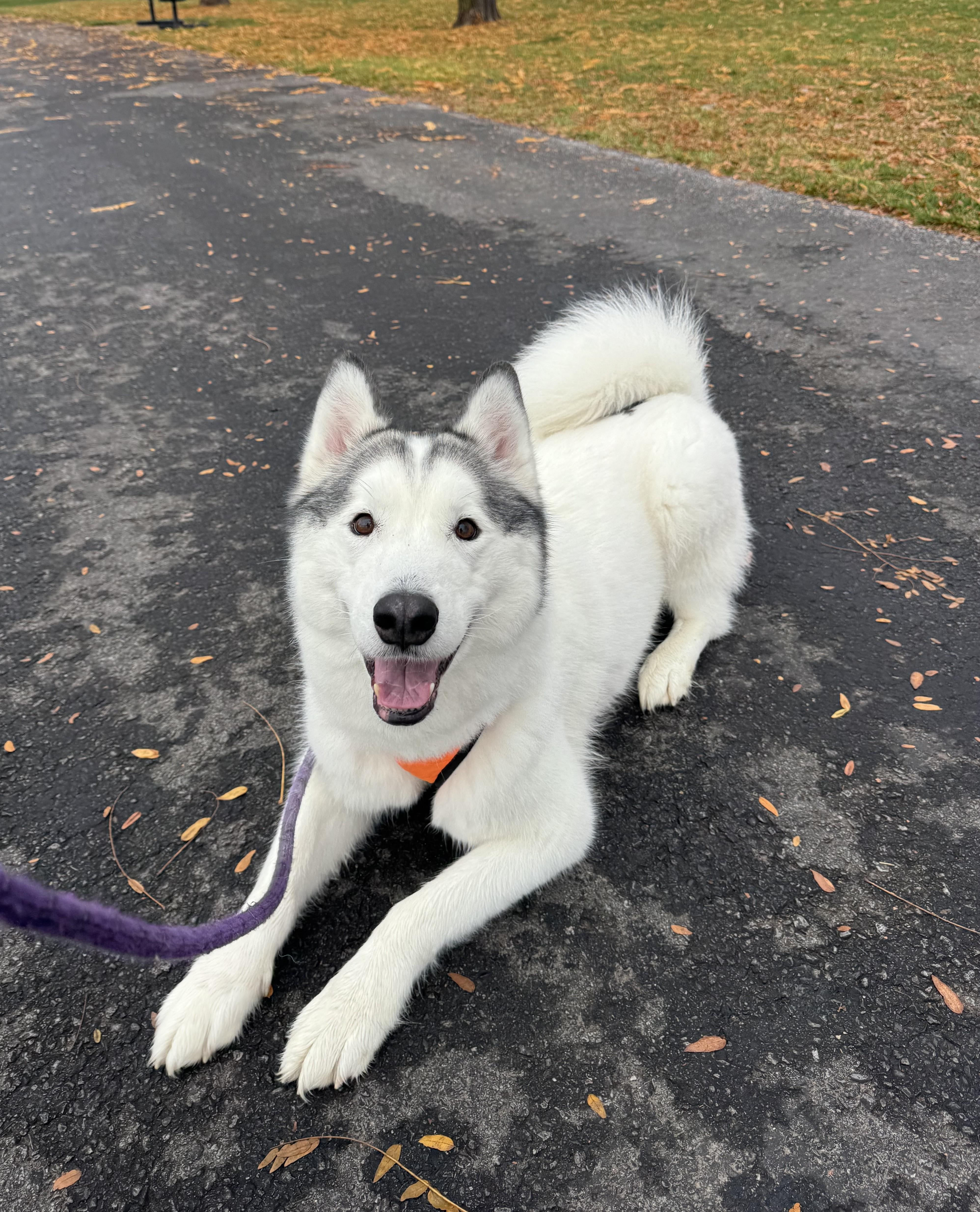 Ronin Fka Odin thumbnail 4