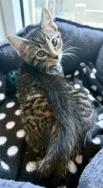 Billy
