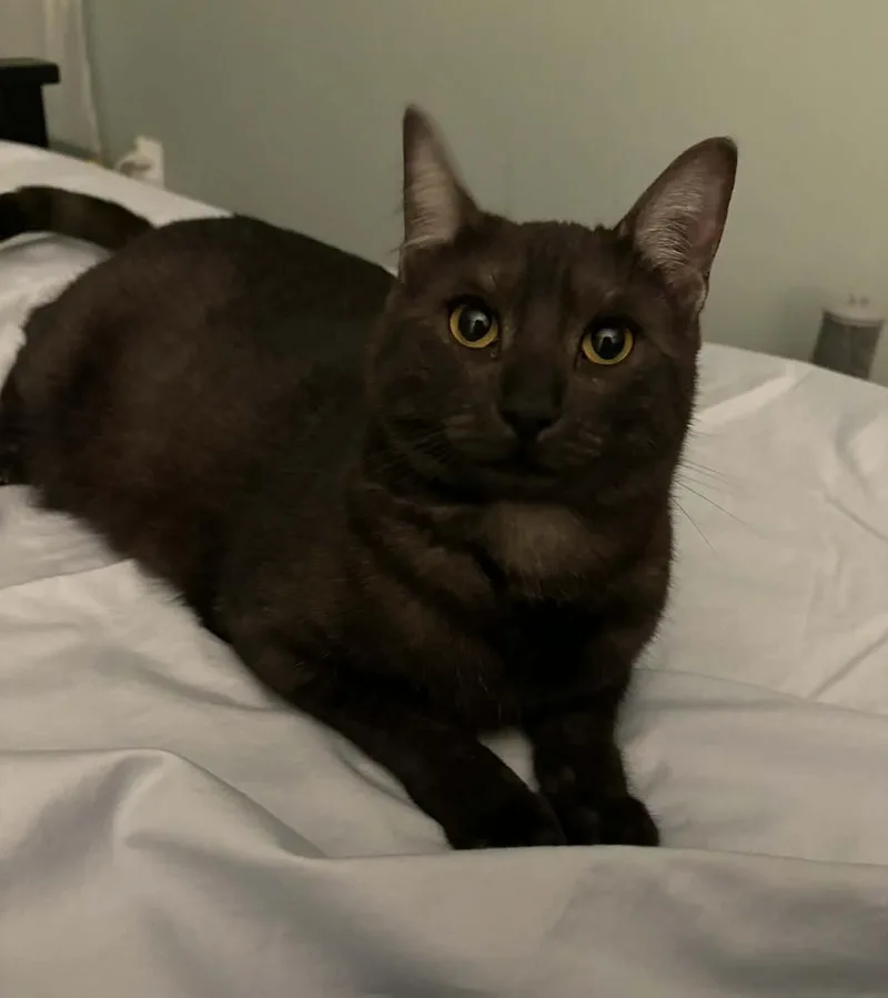 Mia And Leo thumbnail 2