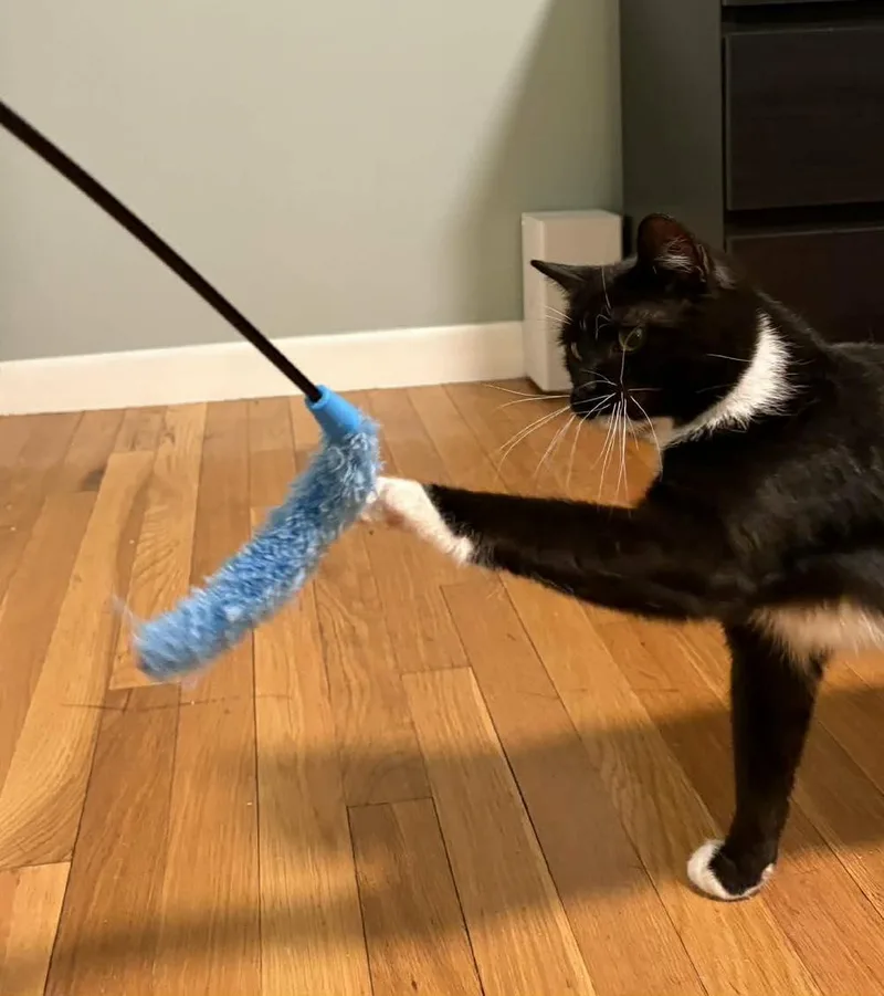 Mia And Leo thumbnail 3