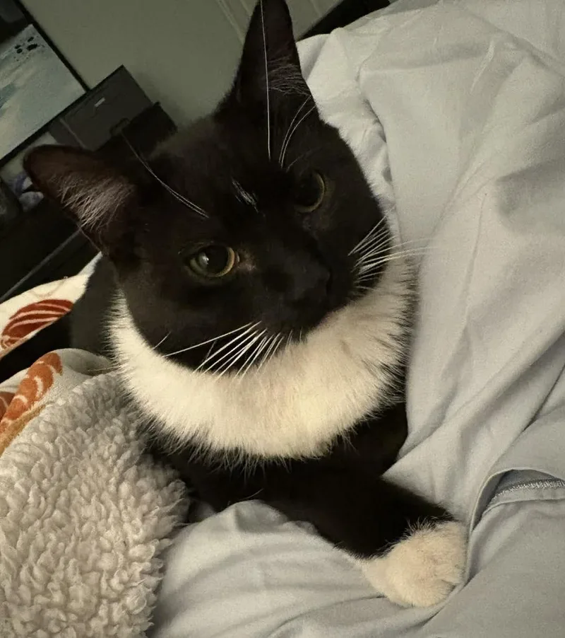 Mia And Leo thumbnail 4