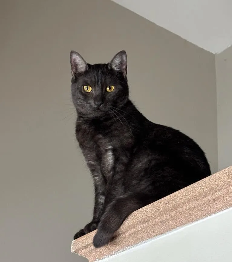 Mia And Leo thumbnail 5