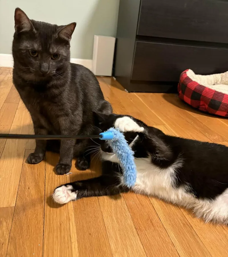 Mia And Leo thumbnail 6