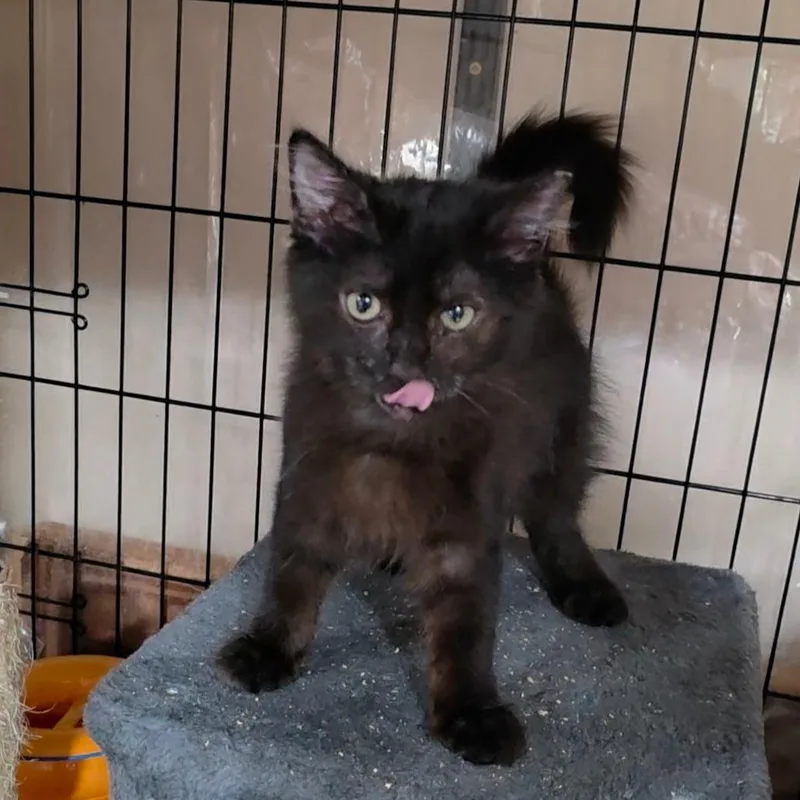 Jonna thumbnail 2
