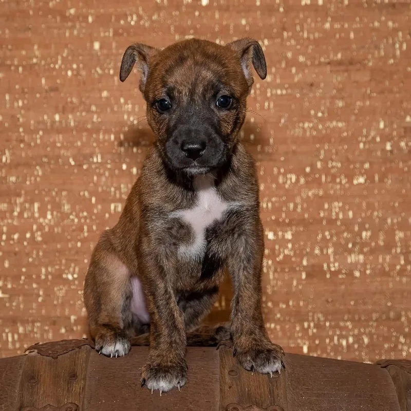 Tate thumbnail 5