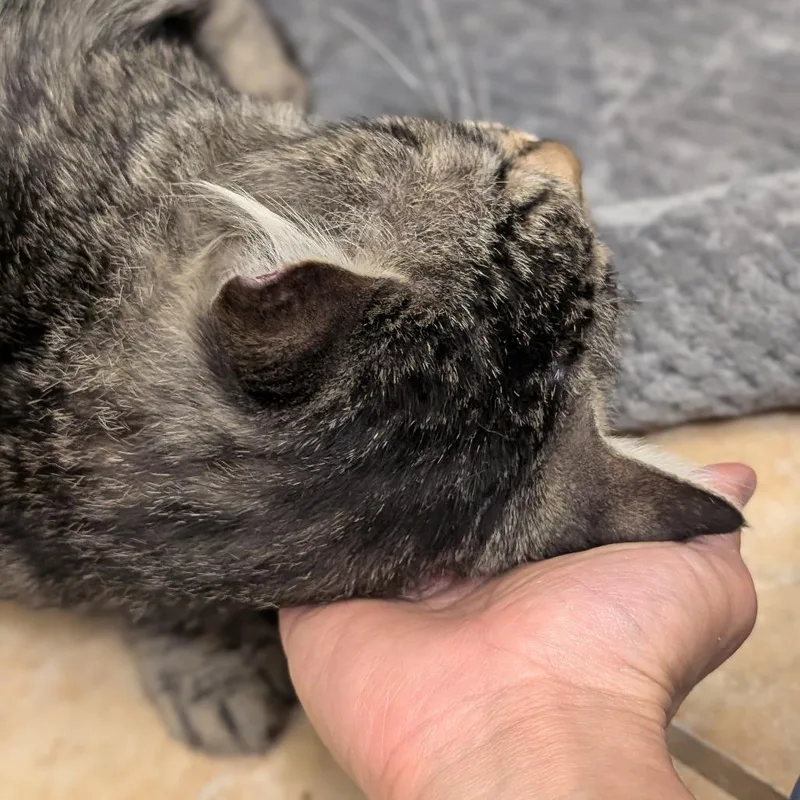 Billie thumbnail 3