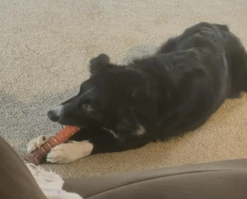 Lucy thumbnail 5