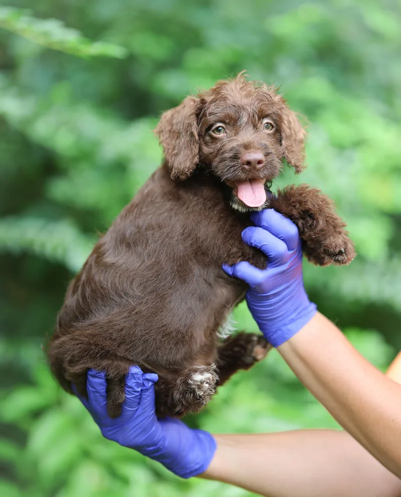 Fiona thumbnail 2
