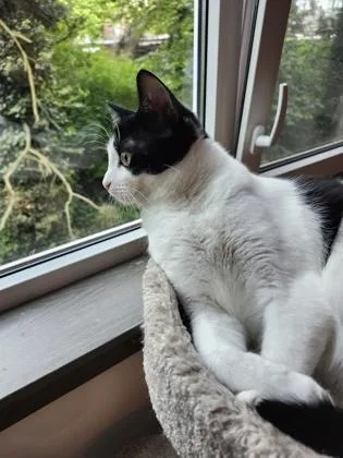 Stormy