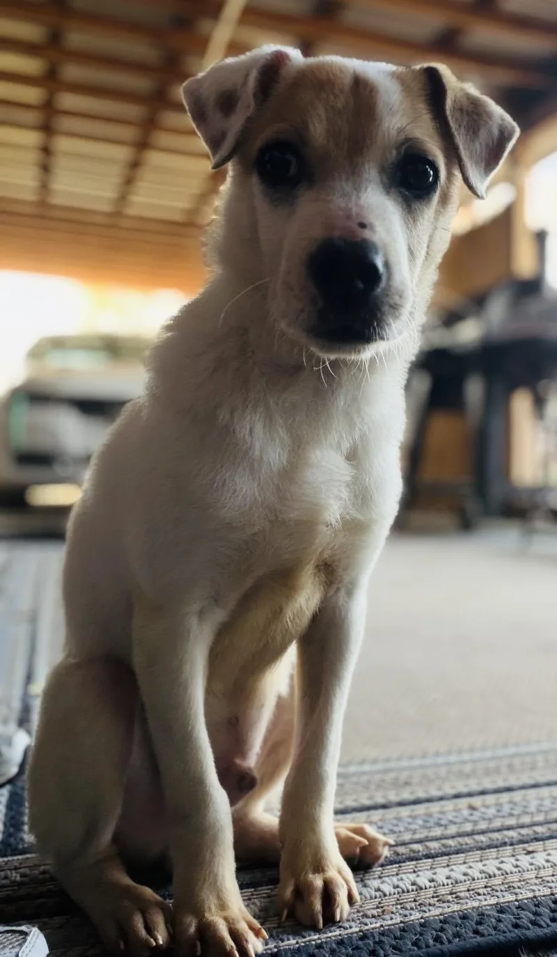 Finnegan thumbnail 3