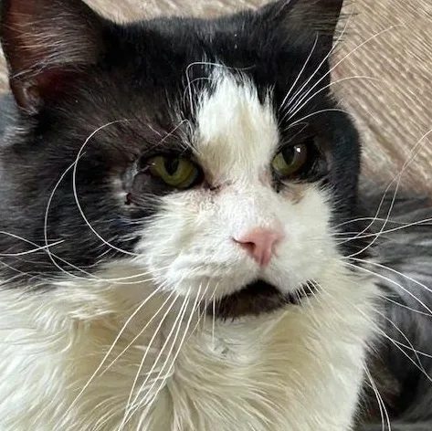 Rupert & Hedwig: Medium thumbnail 3