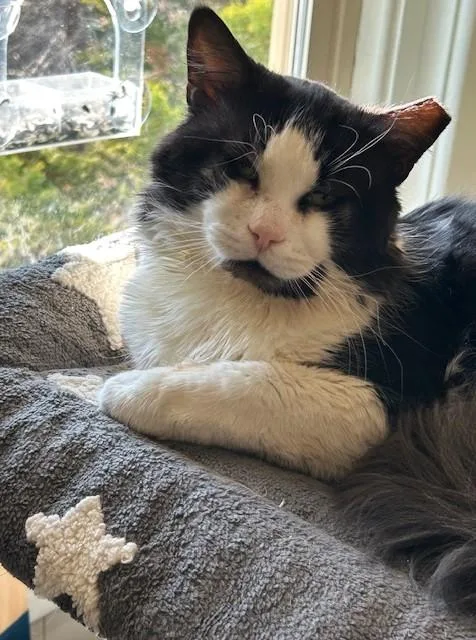 Rupert & Hedwig: Medium thumbnail 5