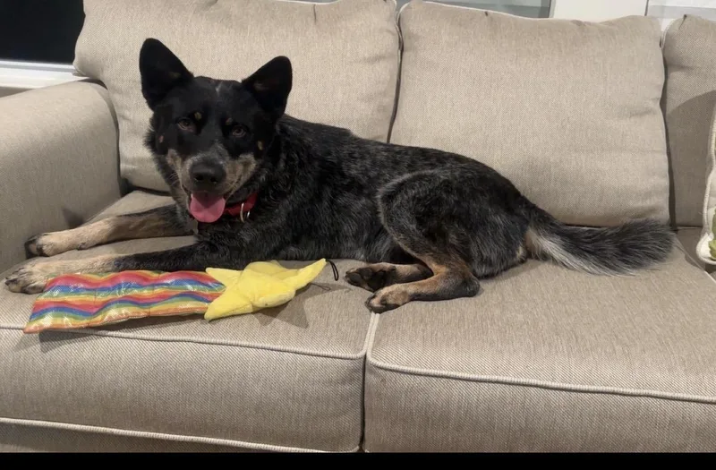 Max