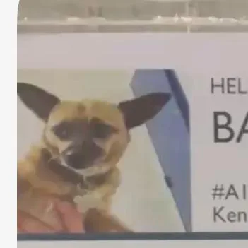 Bailey