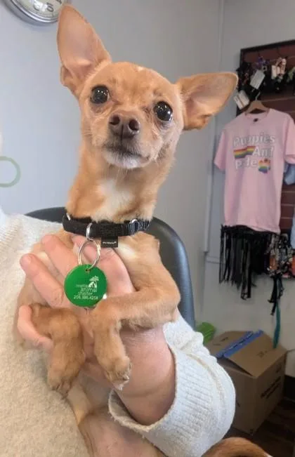 Nala thumbnail 3