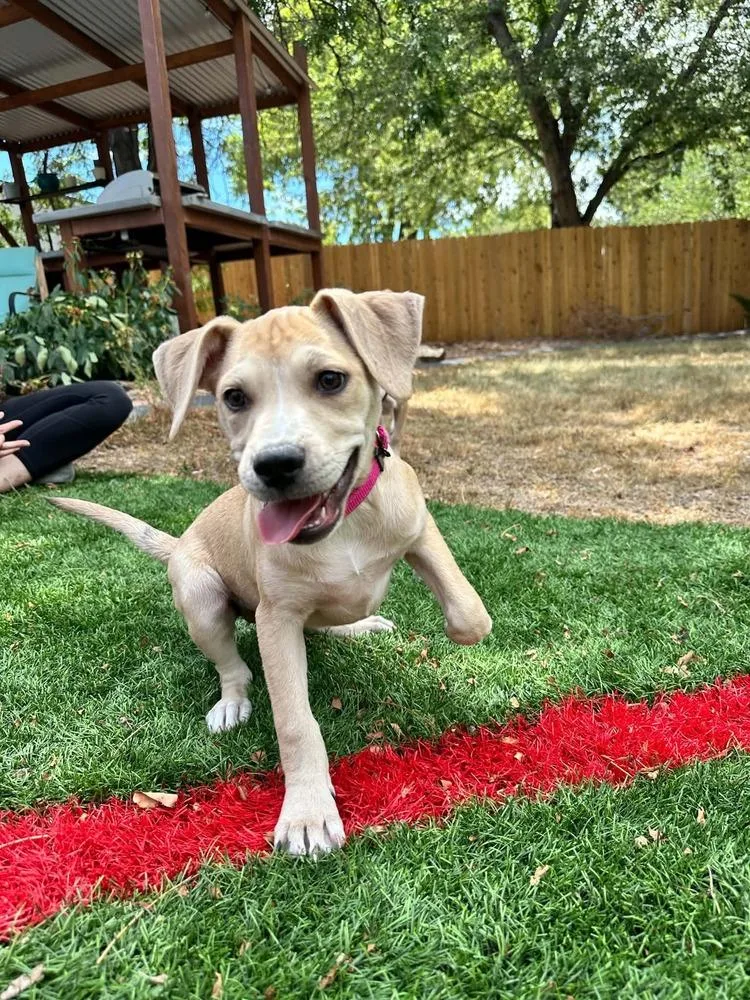 Louise thumbnail 6