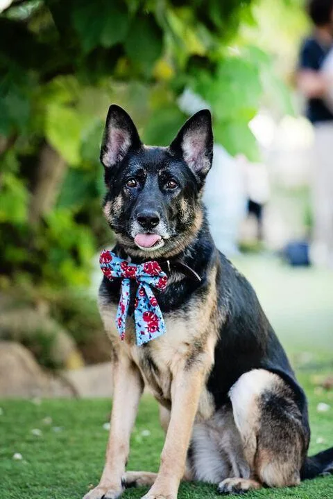 Starburst thumbnail 2